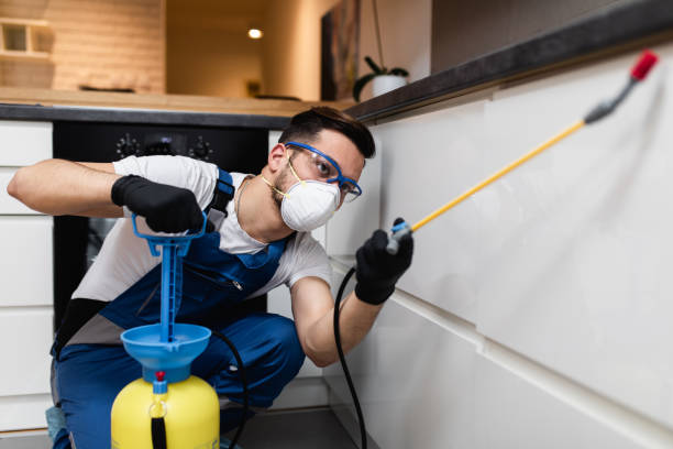 Best Commercial Pest Control Services  in Harlem, GA