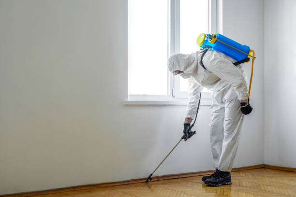 Professional Pest Control in Harlem, GA