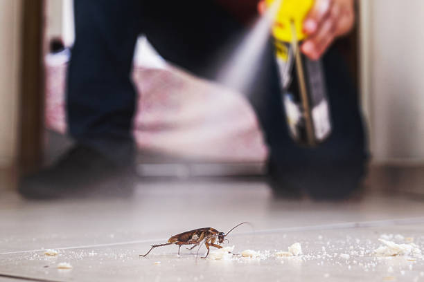 Best Commercial Pest Control Services  in Harlem, GA