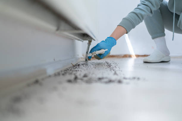 Best Local Pest Control Services  in Harlem, GA